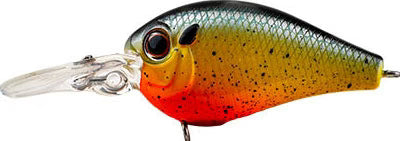EVERGREEN PICCOLO CRANKBAIT