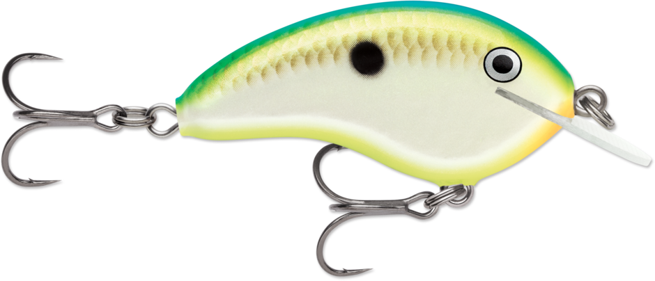 Rapala Ott's Garage Tiny