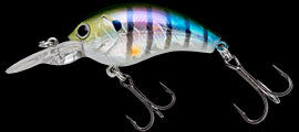 TG Worming Crank Shot