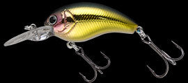 TG Worming Crank Shot