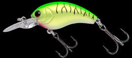 TG Worming Crank Shot