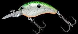 TG Worming Crank Shot