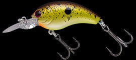 TG Worming Crank Shot