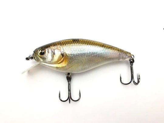 Gekiasa Shad