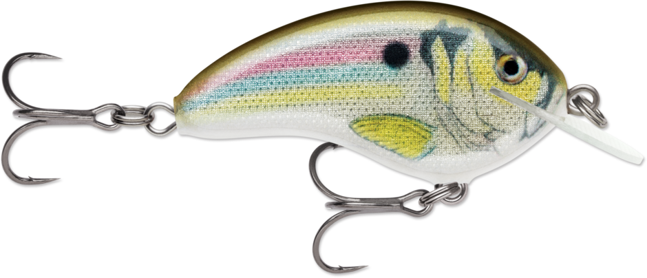 Rapala Ott's Garage Tiny