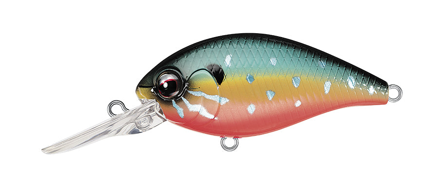 EVERGREEN CR CRANKBAIT