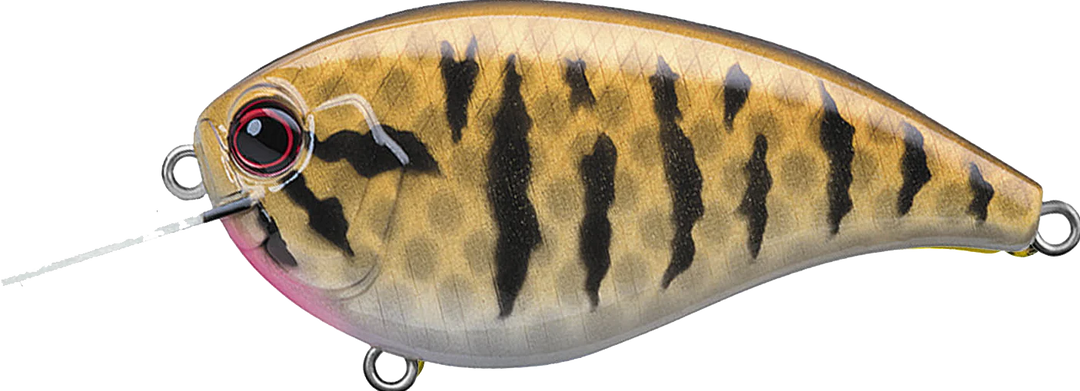 EVERGREEN FLAT FORCE CRANKBAIT