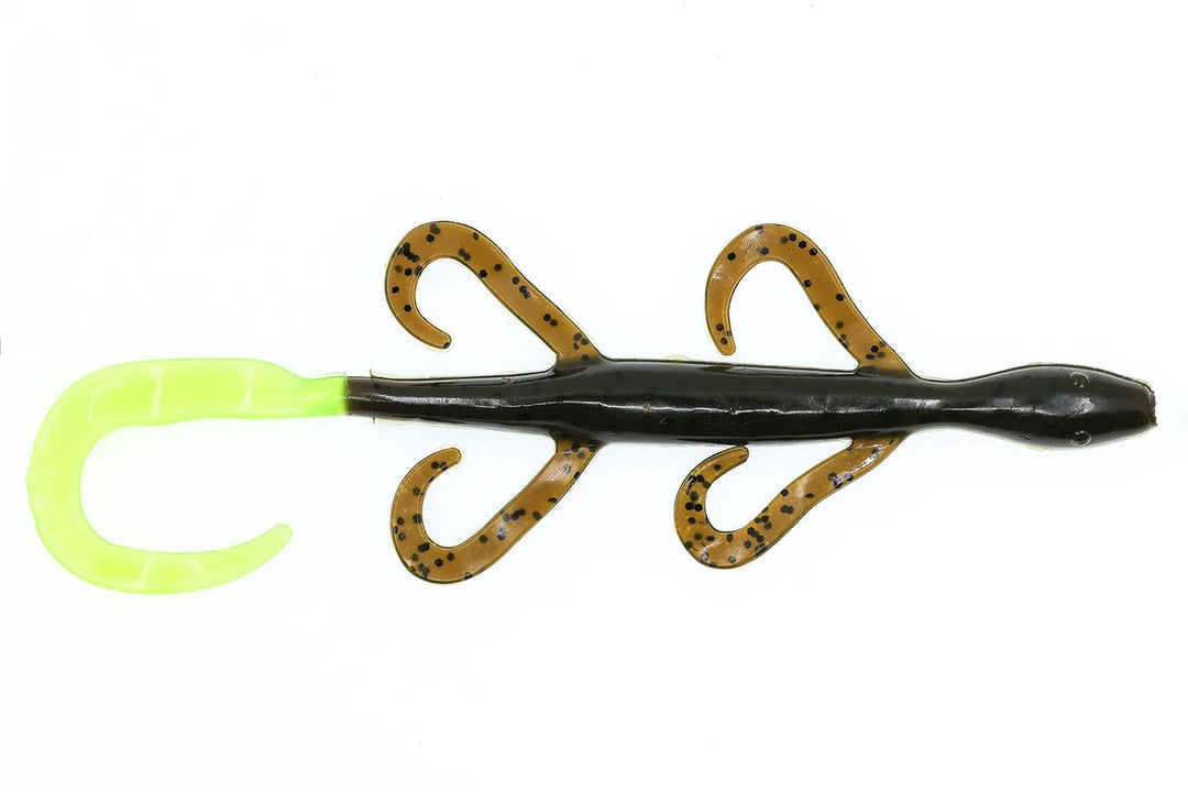 6" Lizard