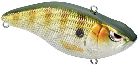 Spro Aruku Shad 65