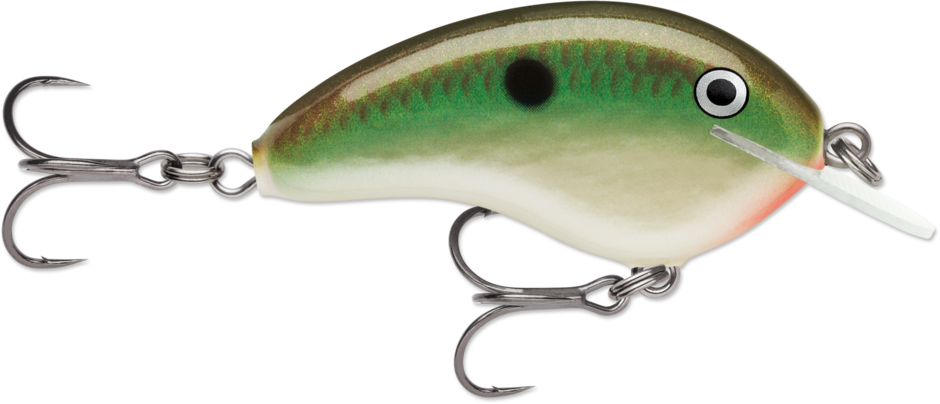 Rapala Ott's Garage Tiny