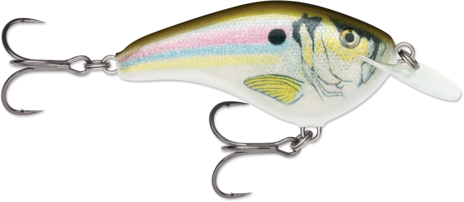 Rapala Ott's Garage Slim