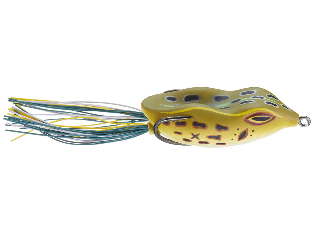 NF60