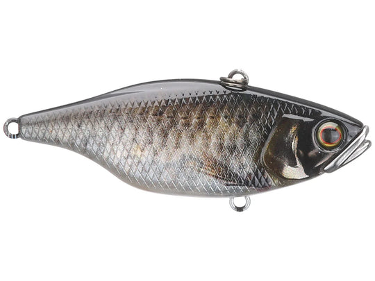 TN 60