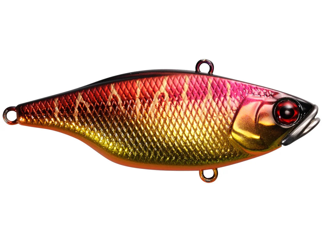 TN 60