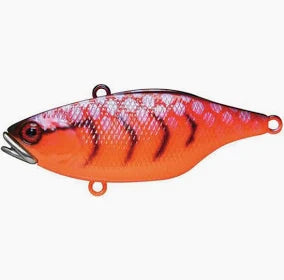 TN 60 Disc Knocker