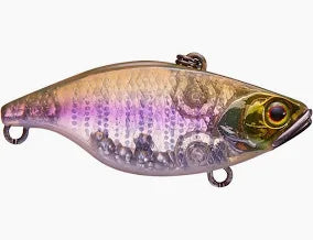 TN 60 Disc Knocker